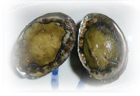 アワビ