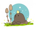 2edc7096850fdc047ad46d3cc2b62f46[1]150ピクセル.jpg