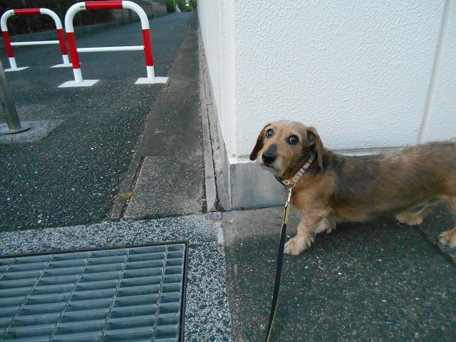 DSCN1139.JPG