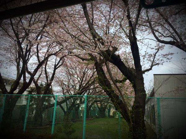 rblog-20160403172751-04.jpg