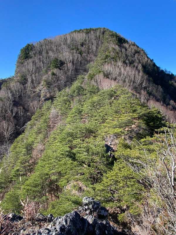 長野県の山 天狗山（てんぐやま1882m）・男山（1） | 醍醐山と下部（しもべ）温泉 - 楽天ブログ