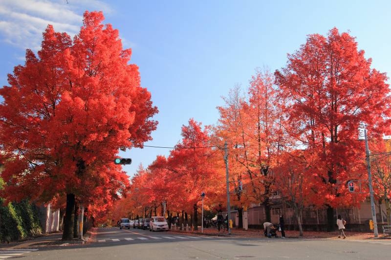 三色彩道_008幼稚園前.jpg