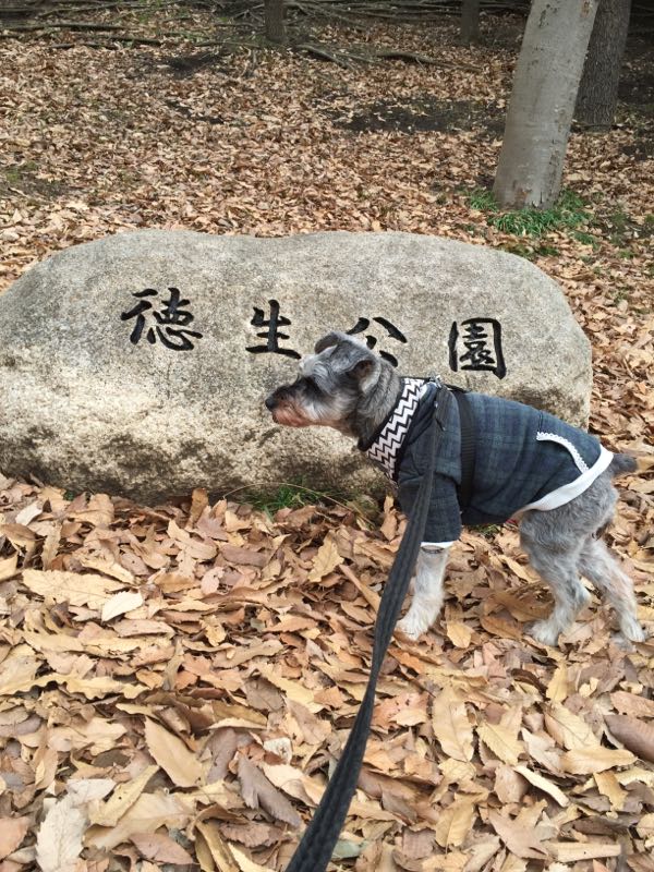 rblog-20160205020958-01.jpg