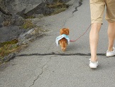 DSCN0150.JPG