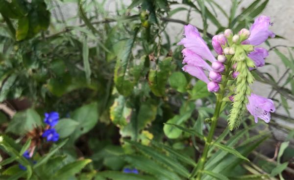 rblog-20170828173644-06.jpg