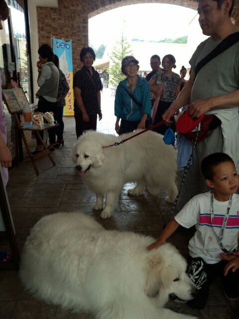 rblog-20140622151027-04.jpg