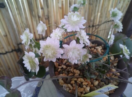 rblog-20140302181119-02.jpg