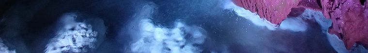 流離果報