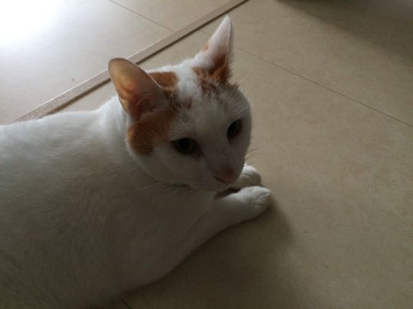 rblog-20150824062523-02.jpg