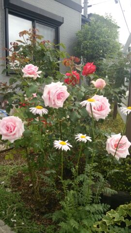 rblog-20140612013628-02.jpg
