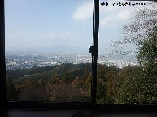 DSCF5174.jpg