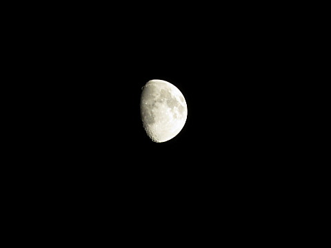IMG_4652.jpg
