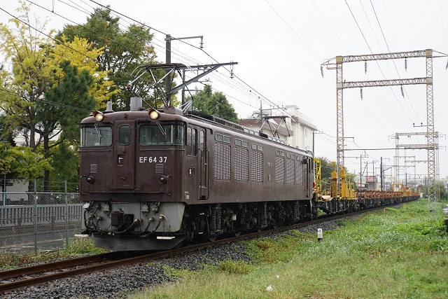EF64 37牽引 松本ロングチキ工臨3