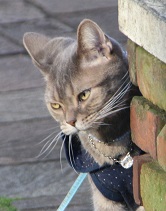 IMG_8678-7.jpg