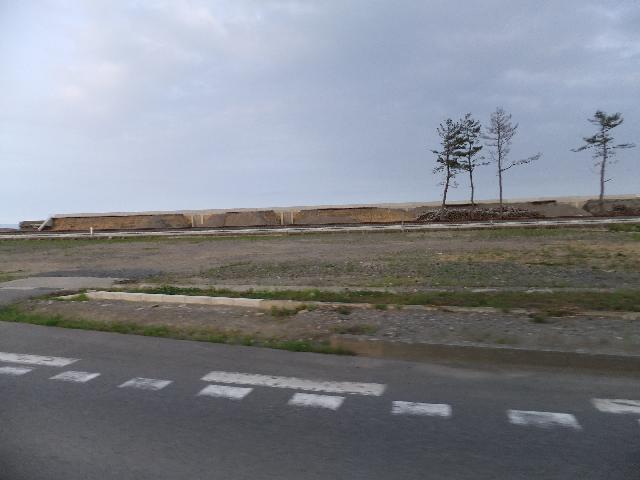 DSCF0823.jpg