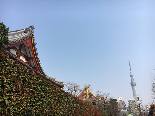 2017-03-19-14.16.jpg