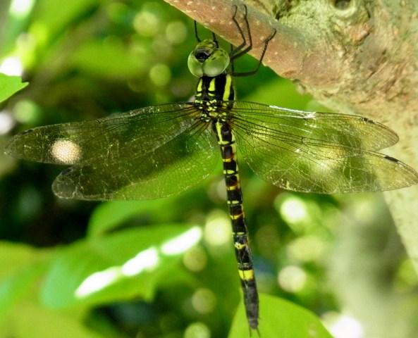 RIMG5156.JPG