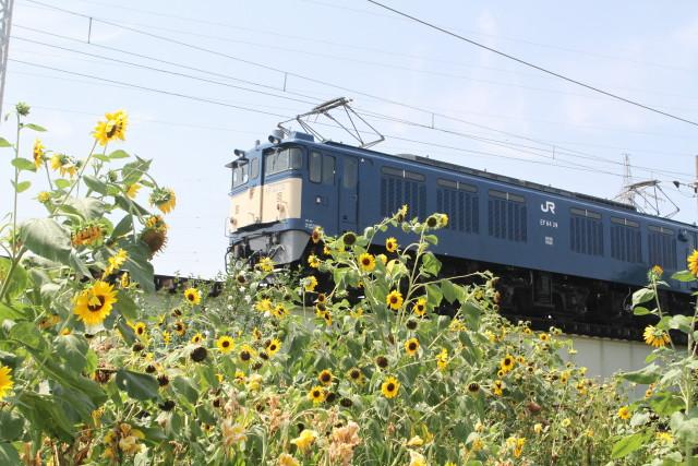 EF64 39牽引 甲府 相模湖 ロングチキ工臨 返却3