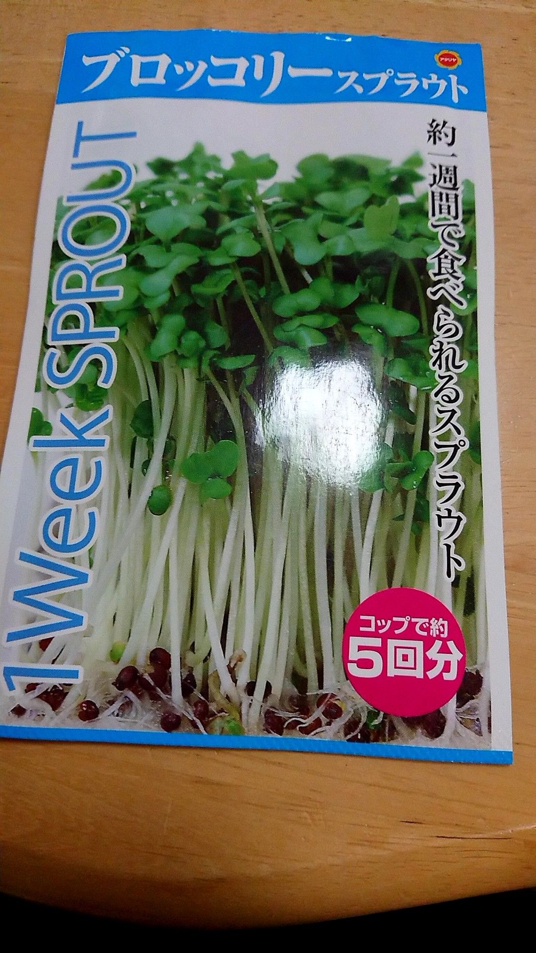 ブロッコリースプラウト栽培日記 Sme5516のブログ 楽天ブログ