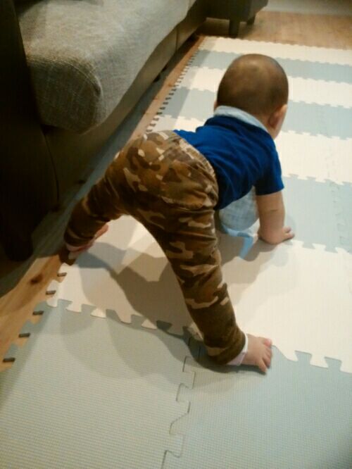 生後６ヶ月24日 高這いのポーズをするようになった Tecate S Blog 楽天ブログ