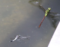 E7D_8407-2.jpg