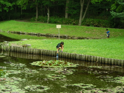 07-01moriaruki (2).JPG