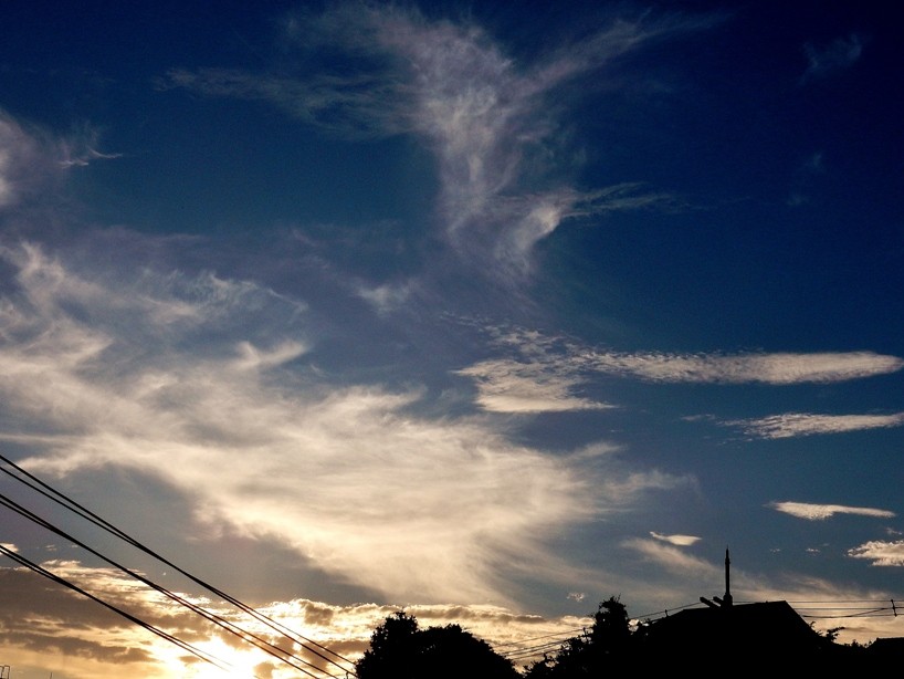 夕暮れ3.JPG