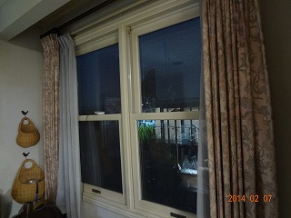 DSC04527.jpg