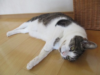 IMG_4524ss.jpg