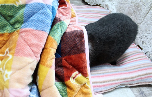 ジュニア (10).JPG