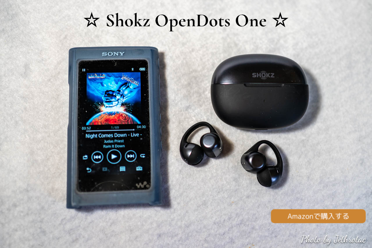 Shokz OpenDots One