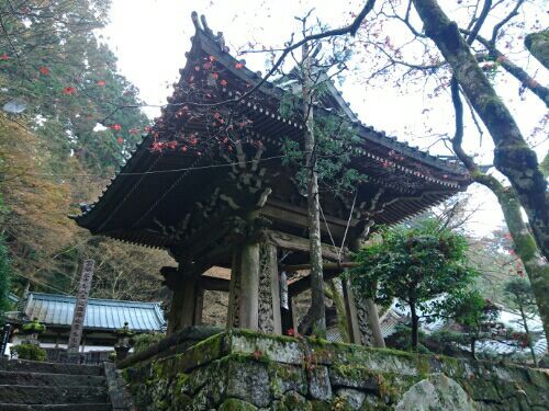 rblog-20170301235924-04.jpg