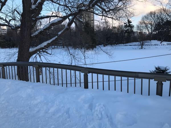 rblog-20190131195325-03.jpg