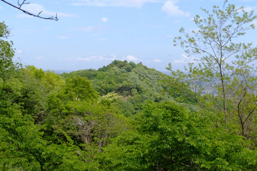 DSCF5416.jpg