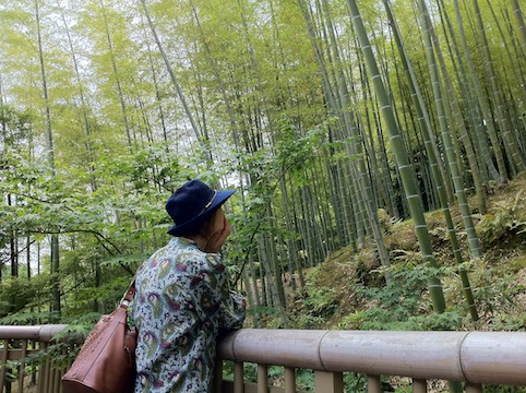竹林.JPG