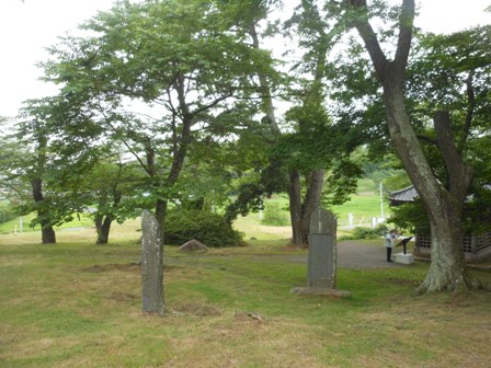 2012.7.14　宮城実家２　多賀城　あやめ園・政庁跡 (5).jpg