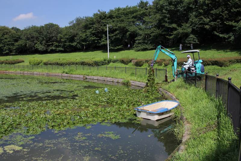 大泉緑地_6.jpg