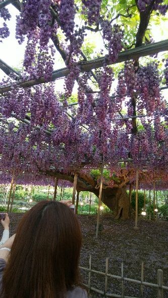 rblog-20180426215346-03.jpg