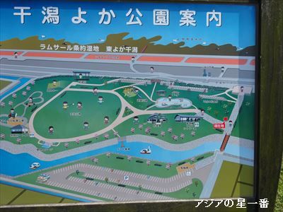 20160523 有明湾干潟17