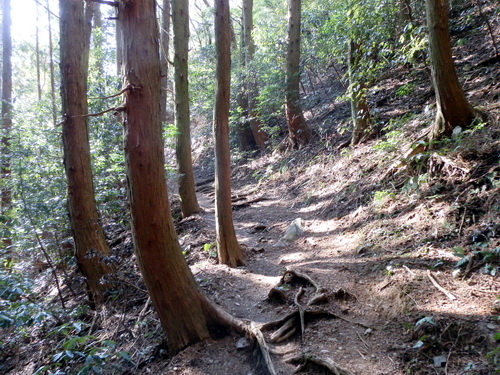 東鳳翩山-22.jpg