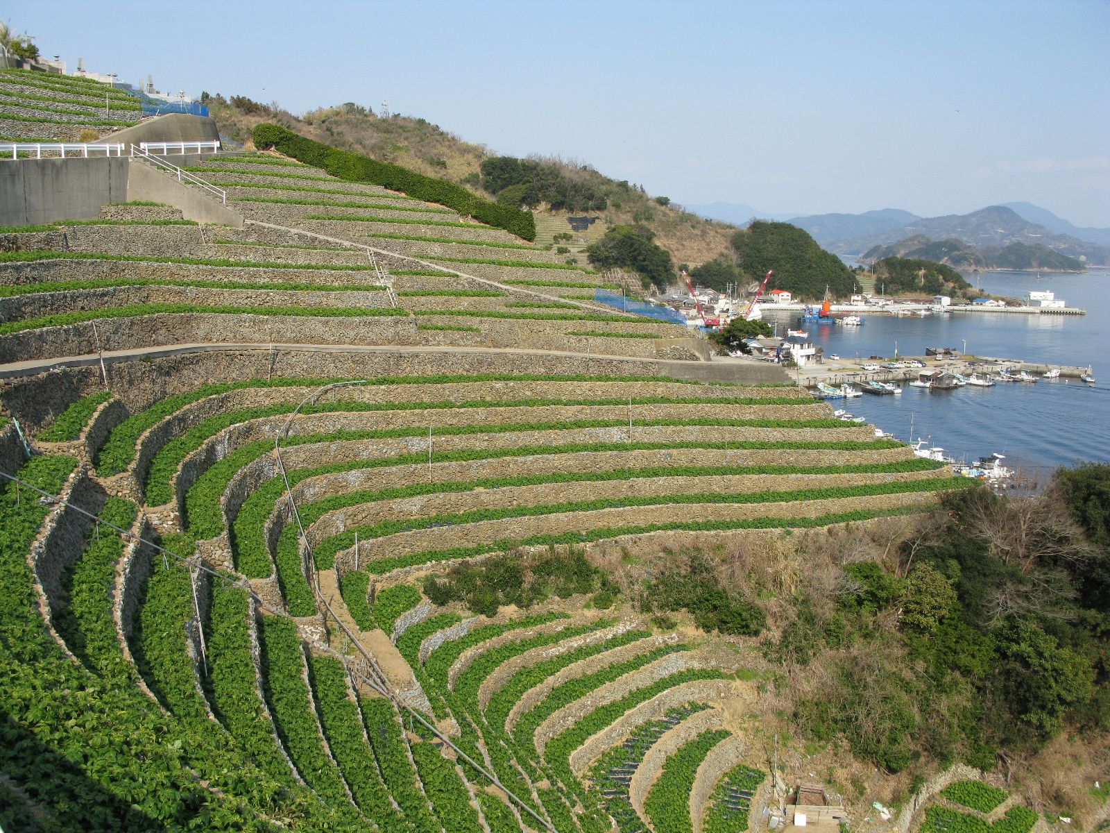 愛媛県 宇和島市 旅をする。観光地 | AKM0651のブログ - 楽天ブログ