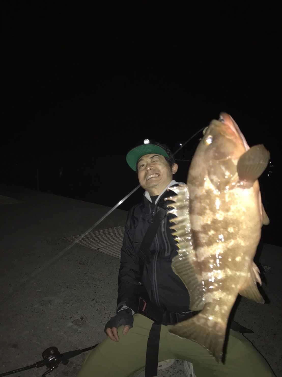 6月の瀬戸内アコウ サメジの釣り暮らし 楽天ブログ