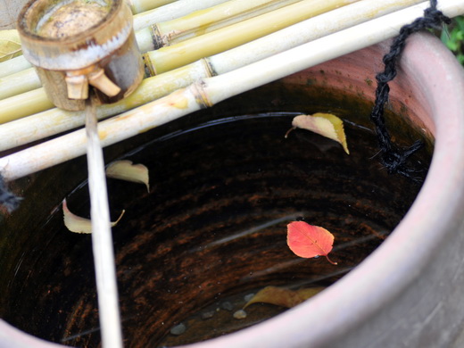 mukoujima2013aki_05.JPG