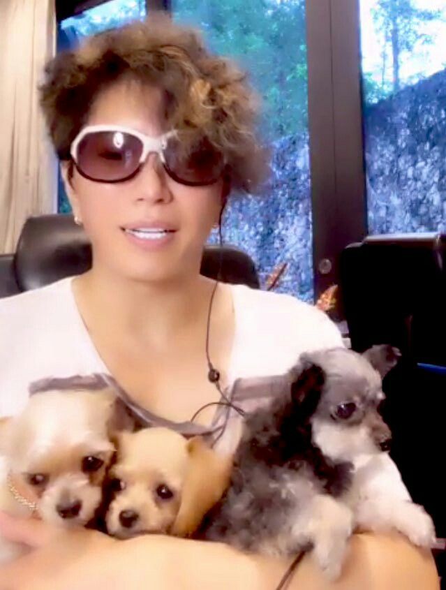 チン立てパイ立て イエンナレアガシの元気日記 楽天ブログ