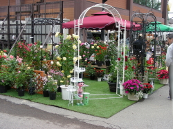 06-13花ファスタ (3).JPG