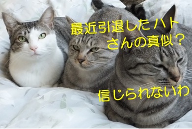 20121126_5.jpg