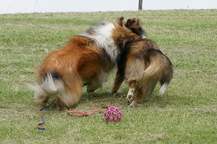 DSC08920.jpg