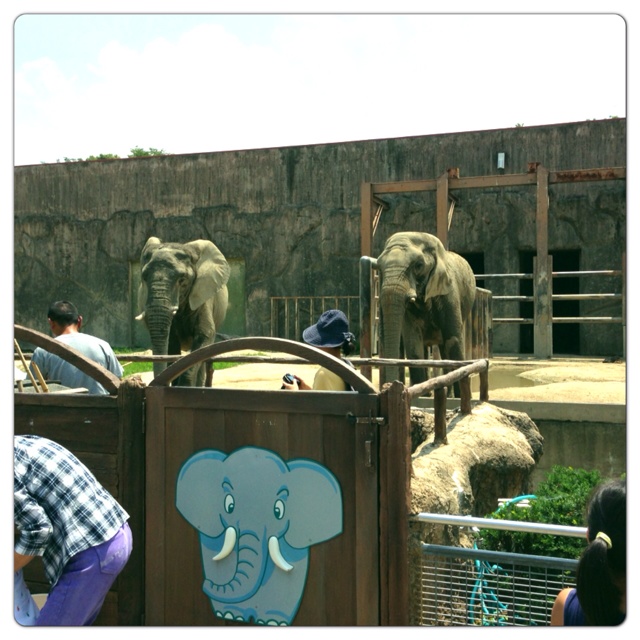 rblog-20130630001944-00.jpg