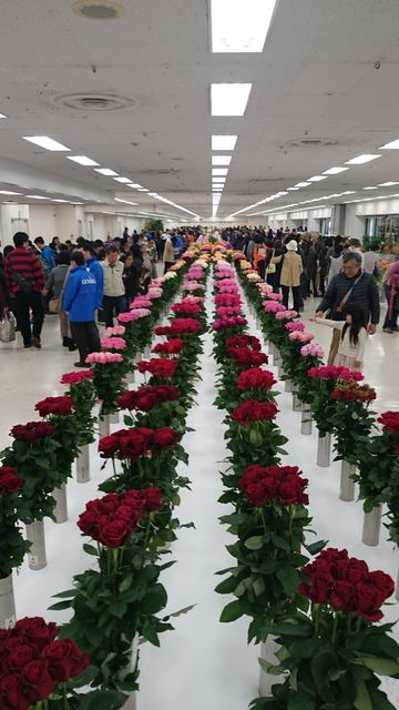 2016-02-14 10.44.37.jpg