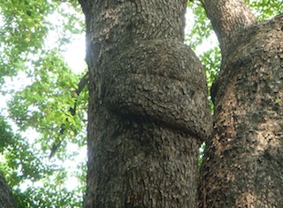 DSCN3884.JPG